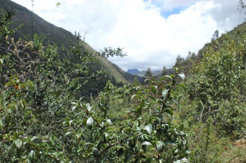 LARES TREK 4D/3N - Cultural Highlights