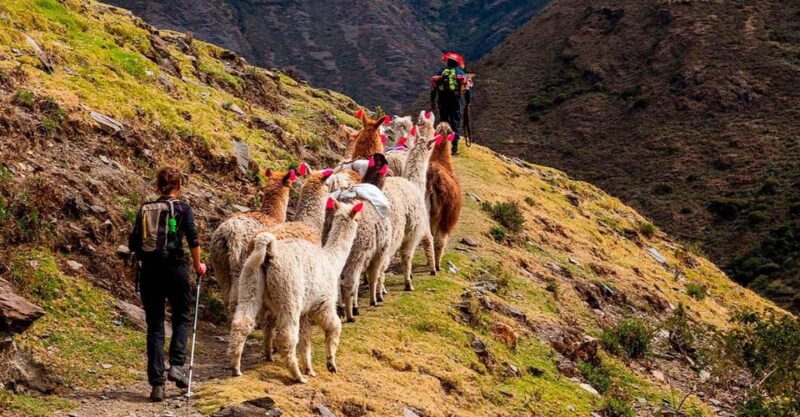 Lares Trek + Machu Picchu 4 Days | Thermomedicinal Waters - Itinerary Breakdown