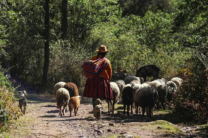 Lares Trek Private Service - Highlights