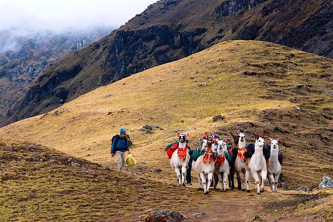 Lares Trek to Machu Picchu (4 Days) - Duration and Location