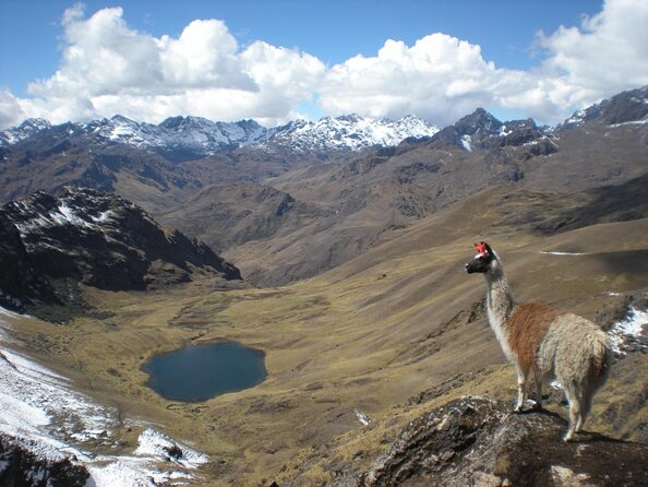 Lares Trek to Machu Picchu 4 Days With Panoramic Train - Inclusions