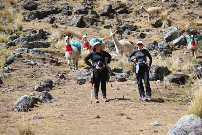 Lares Trek With Llamas & Short Inca Trail to Machu Picchu - Excluded From the Trek