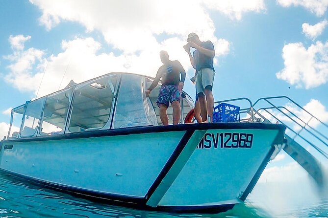 Large Group Catamaran Private Charter in Whitsunday Island - Accessibility and Participation