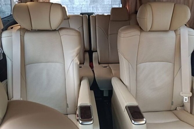 Large Transportation Between the Airport and Hotels in Punta Cana - Booking Information
