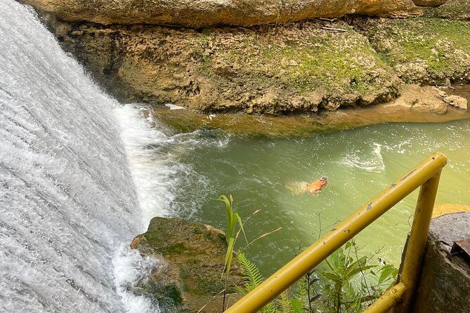 Largest Natural Waterslide, River Hike and Beach Tour in Arecibo - Tour Reviews