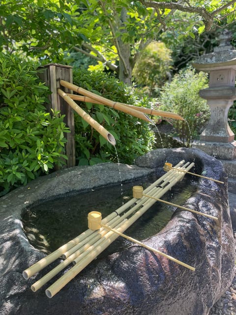 Largest Wooden Buddha, Temples, Cultural Experience - Visitor Experiences and Memorable Moments