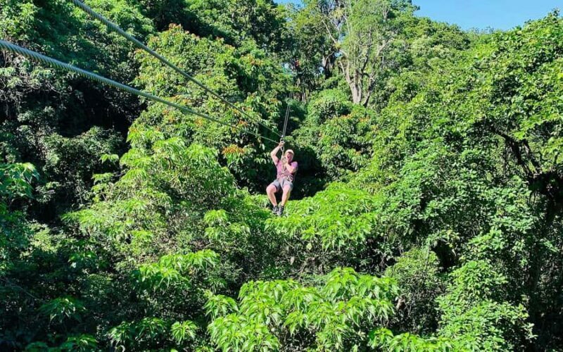 Largest Zipline & Cave Exploration from sigatoka coral coast - Practical Tips for Participants