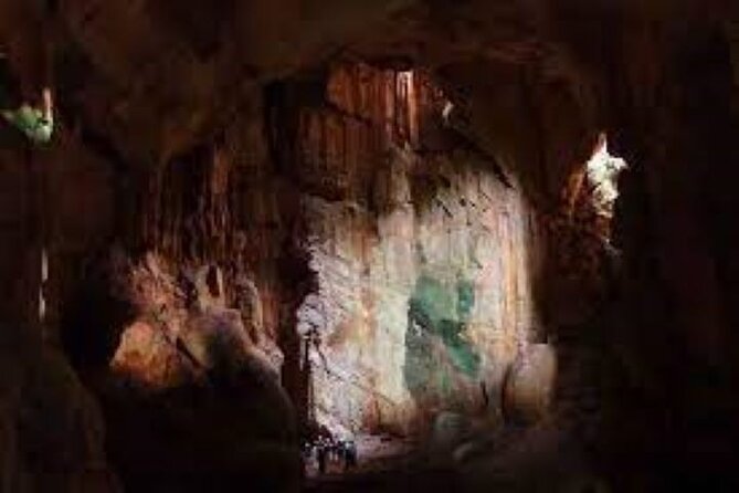Largest Zipline in South Pacific & Cave Exploration From Sigatoka - Endangered Vesi Trees