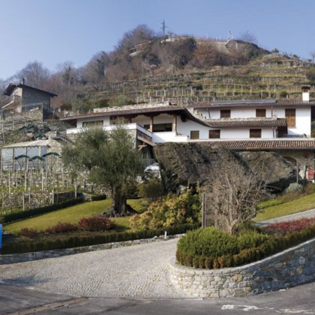 Larian Boat Museum and Wine Tasting - Languages and Group Size