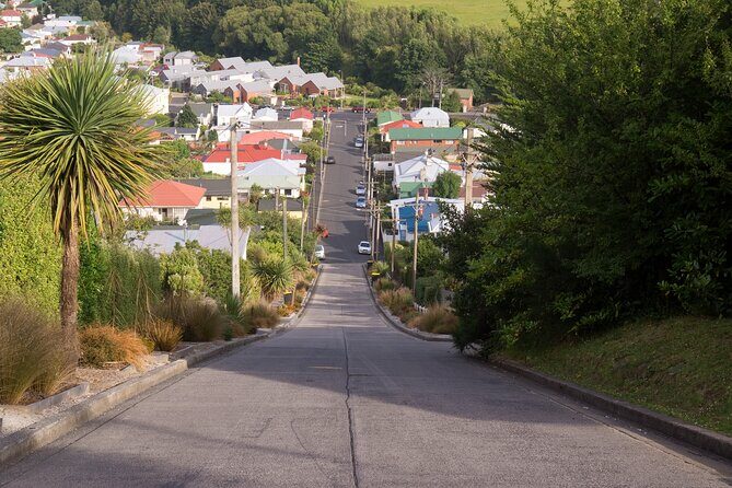 Larnach Castle & Dunedin City Highlights Tour (Shore Excursion) - Key Points