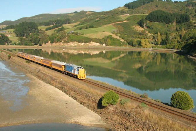 Larnach Castle & Gardens Tour From Dunedin Winter - Dining at the Castle