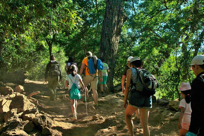 Las Animas Waterfall Tour - Exploring the Cajon De La Quemada