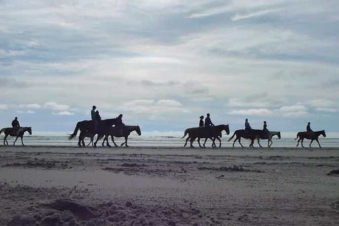 Las Cañadas Ecopark and Horseback Riding Private Tour - Pricing and Availability