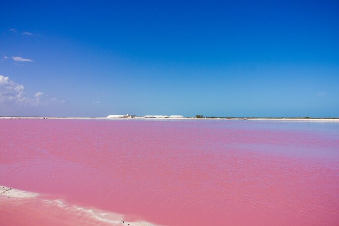 Las Coloradas Amazing Pink Lake & Rio Lagartos From Tulum - Wildlife and Nature Highlights