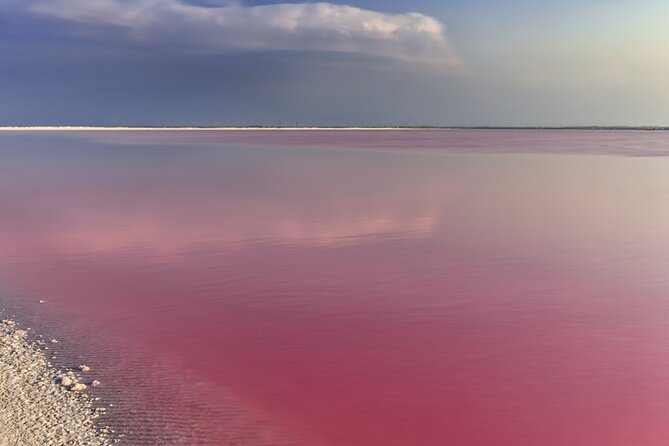 Las Coloradas Amazing Pink Lake & Rio Lagartos From Tulum - Traveler Reviews