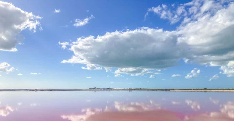 Las Coloradas and Río Lagartos - Key Points