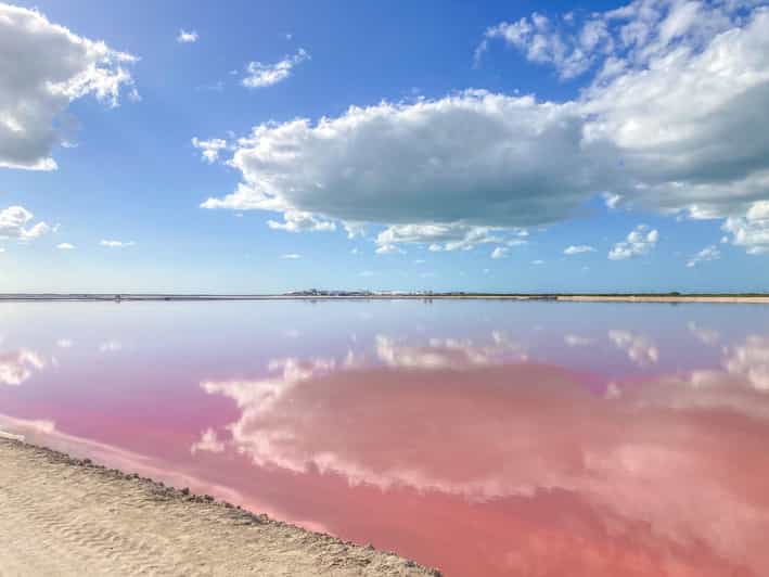 Las Coloradas and Río Lagartos - Wildlife and Nature Exploration
