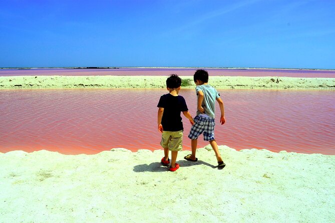 Las Coloradas and Rio Lagartos Tour With All Inclusive - Key Points