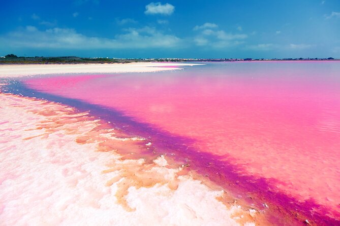 Las Coloradas and Rio Lagartos Tour With All Inclusive - Customer Reviews and Experiences