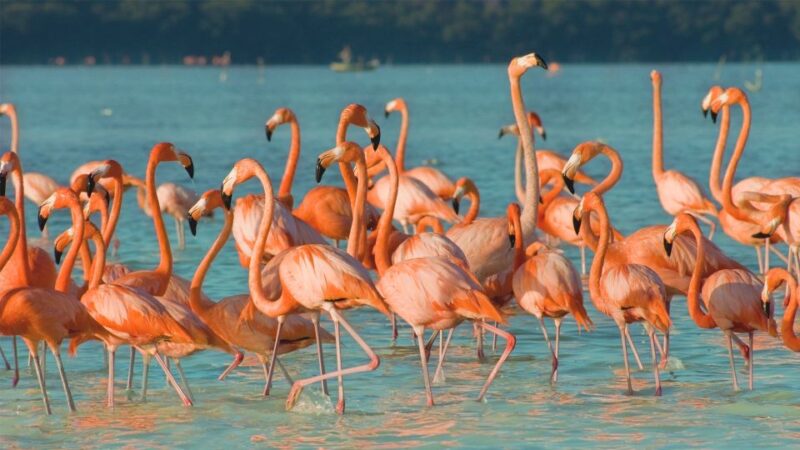 Las Coloradas Discovery Tour - Natural Features