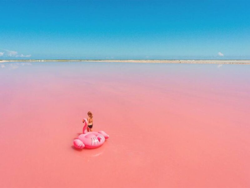 Las Coloradas Discovery Tour - Pickup and Dropoff