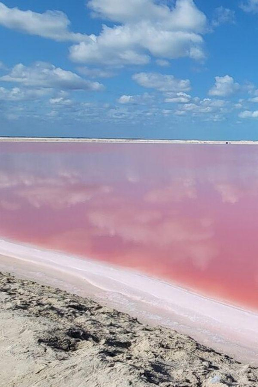 Las Coloradas: Full-Day Tour to the Pink Lake & Rio Lagartos - Key Points