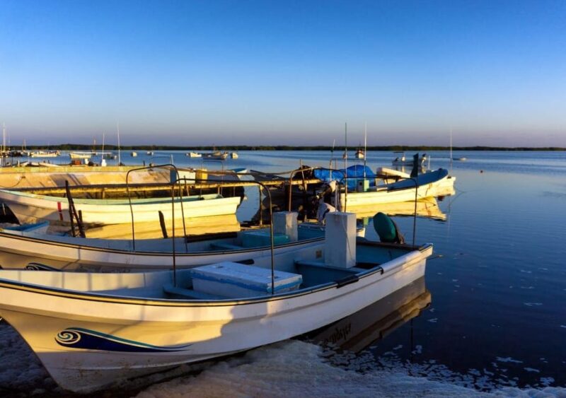 Las Coloradas: Full-Day Tour to the Pink Lake & Rio Lagartos - Weather Considerations