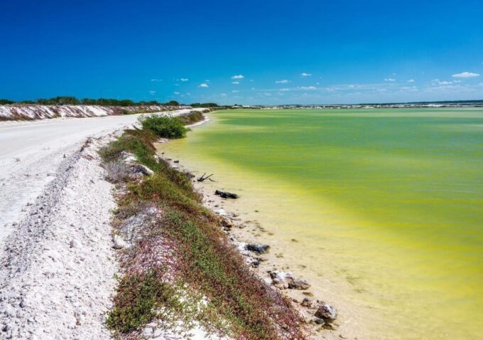 Las Coloradas: Full-Day Tour to the Pink Lake & Rio Lagartos - Frequently Asked Questions