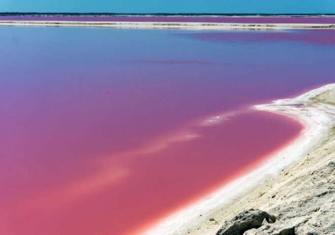 Las Coloradas: Guided Visit, Río Lagartos Boat Tour & Lunch - Accommodating Special Requests
