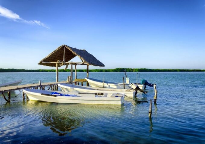 Las Coloradas: Guided Visit, Río Lagartos Boat Tour & Lunch - Frequently Asked Questions