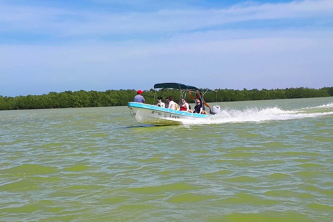 Las Coloradas Pink Lagoon + Rio Lagartos Tour - Highlights of the Excursion