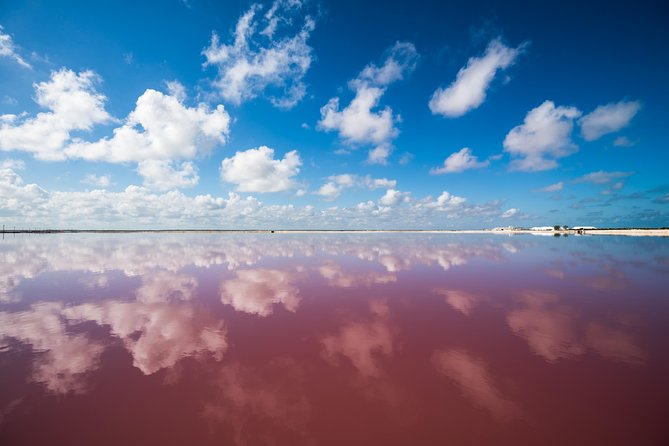 Las Coloradas Pink Lagoon + Rio Lagartos Tour - Pickup and Meeting Information