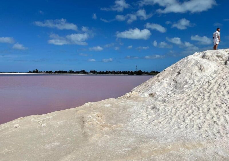 Las Coloradas: Pink Lake Guided Tour and Rio Lagartos Visit - Key Points