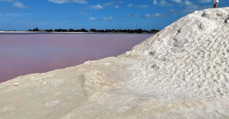 Las Coloradas: Pink Lake Guided Tour and Rio Lagartos Visit - Experience Highlights