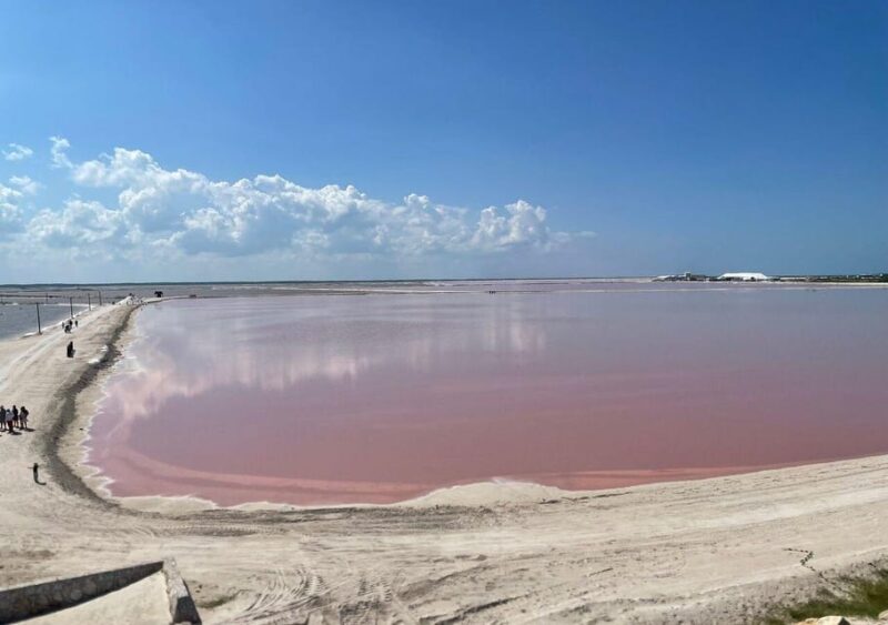 Las Coloradas: Pink Lake Guided Tour and Rio Lagartos Visit - Important Information