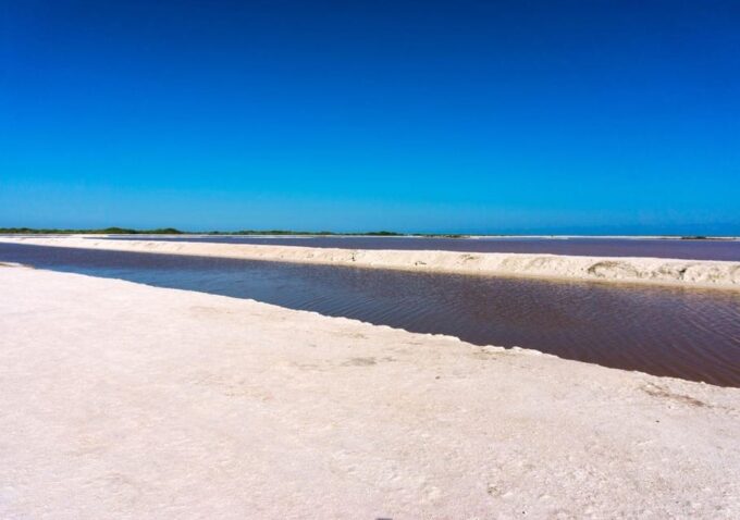 Las Coloradas: Pink Lake Guided Tour and Rio Lagartos Visit - Discover Rio Lagartos Biosphere