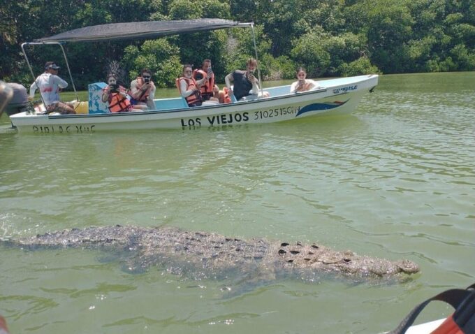 Las Coloradas: Pink Lake Guided Tour and Rio Lagartos Visit - Observing Crocodiles in Habitat