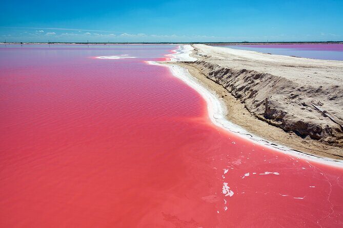 Las Coloradas Pink Lake & Rio Lagartos Guided Tour - Pickup and Initial Journey