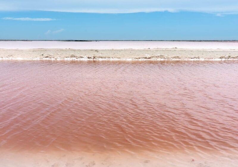 Las Coloradas: Pink Lake Tour and Boat Ride in Rio Lagartos - Key Points