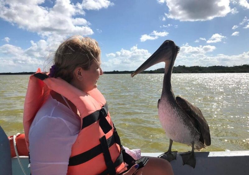Las Coloradas: Pink Lake Tour and Boat Ride in Rio Lagartos - Cancellation and Booking Policy