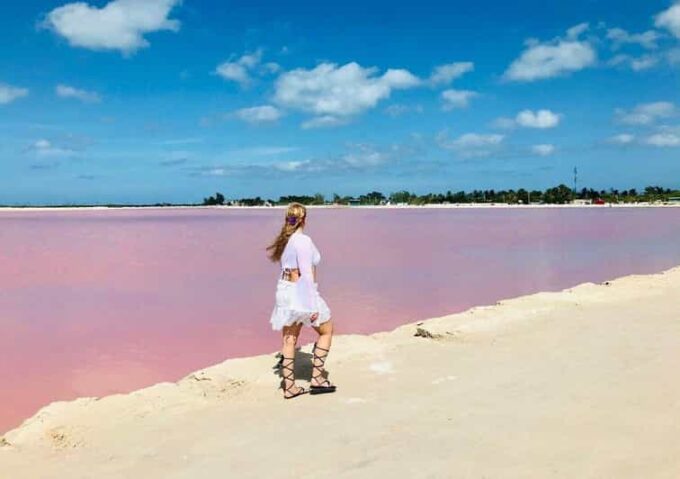 Las Coloradas: Pink Lake Tour and Boat Ride in Rio Lagartos - Wildlife and Natural Landscapes