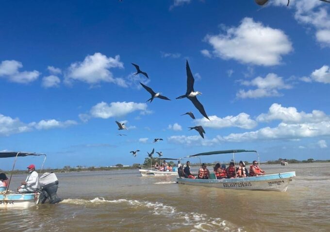 Las Coloradas: Pink Lake Visit and Boat Ride in Río Lagartos - Cancellation and Refund Policy