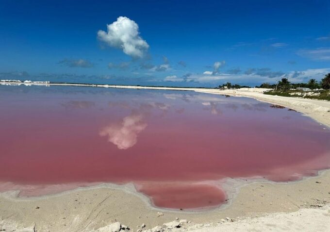 Las Coloradas: Pink Lake Visit and Boat Ride in Río Lagartos - Frequently Asked Questions