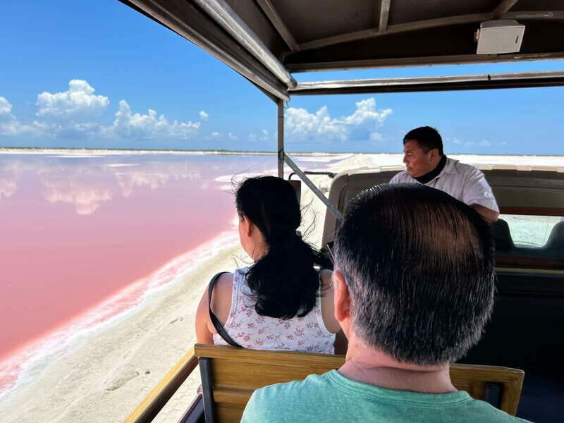 Las Coloradas: Pink Lakes Safari Tour - Key Points