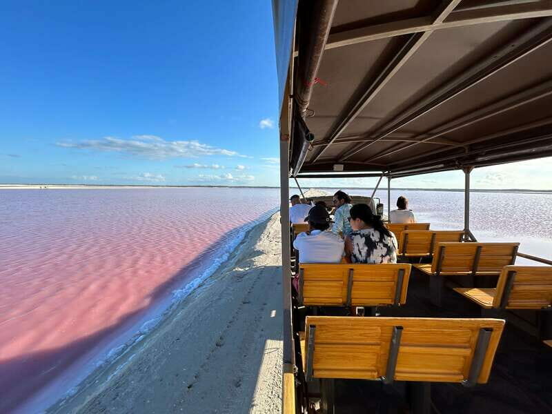 Las Coloradas: Pink Lakes Safari Tour - A Deep Dive into the Tour Experience