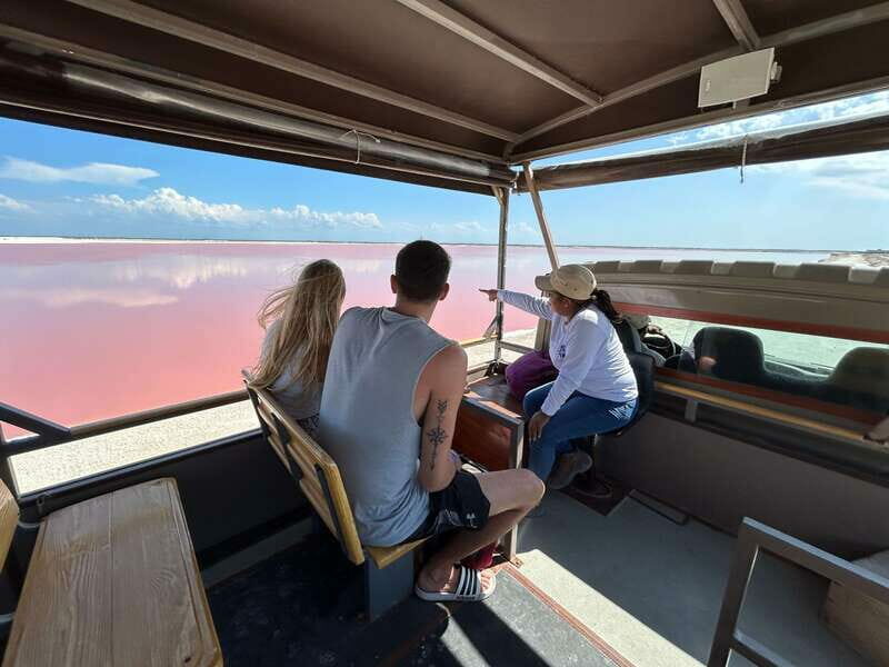 Las Coloradas: Pink Lakes Safari Tour - What Past Travelers Say