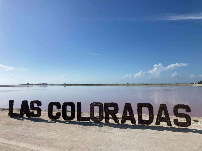 Las Coloradas: Pink Lakes Safari Tour - Who Is This Tour Best For?