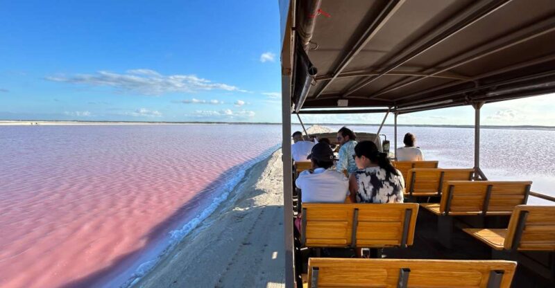 Las Coloradas: Pink Lakes Safari Tour - Key Points