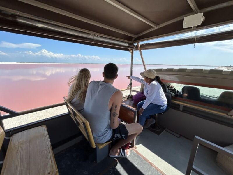 Las Coloradas: Pink Lakes Safari Tour - Ecological Significance