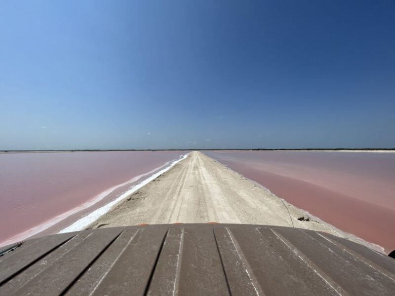 Las Coloradas: Pink Lakes Safari Tour - Inclusions and Exclusions